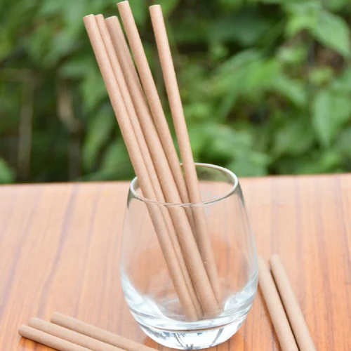What Are Biodegradable Products?