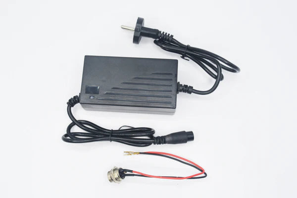 24v Electric Cycle Gear Motor 250watts Conversion Full Kit