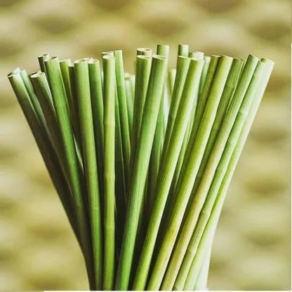 Plant straw 100% natural, eco friendly